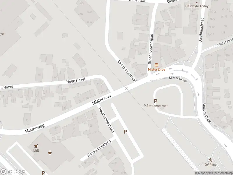 Brandweer met gepaste spoed naar de Kastanjelaan in Winterswijk vanwege stormschade