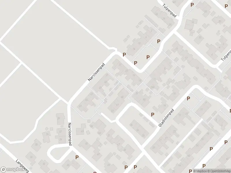 Ambulance met gepaste spoed naar de Narcissenpad in Stellendam