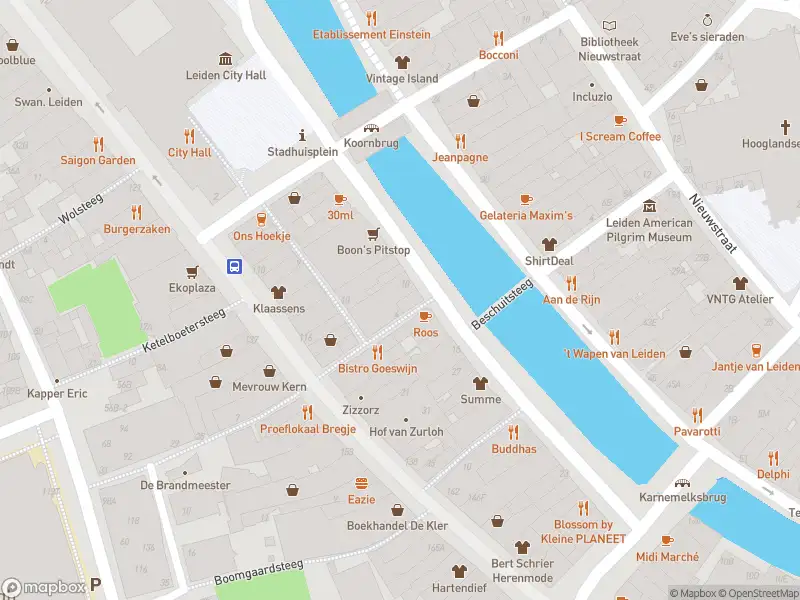 Ambulance met grote spoed naar de Levendaal in Leiden