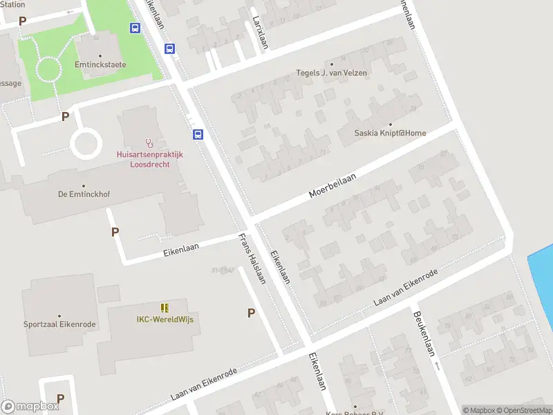 112 melding Brandweer met grote spoed naar de Moerbeilaan in Loosdrecht