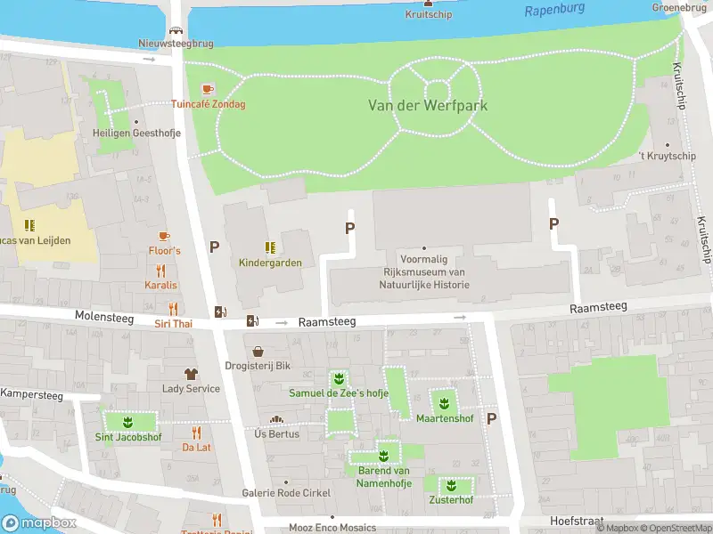 Ambulance met gepaste spoed naar de Hoefstraat in Leiden
