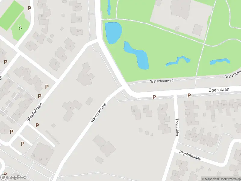 Brandweer met gepaste spoed naar de Waterhamweg in Oldenzaal vanwege stormschade