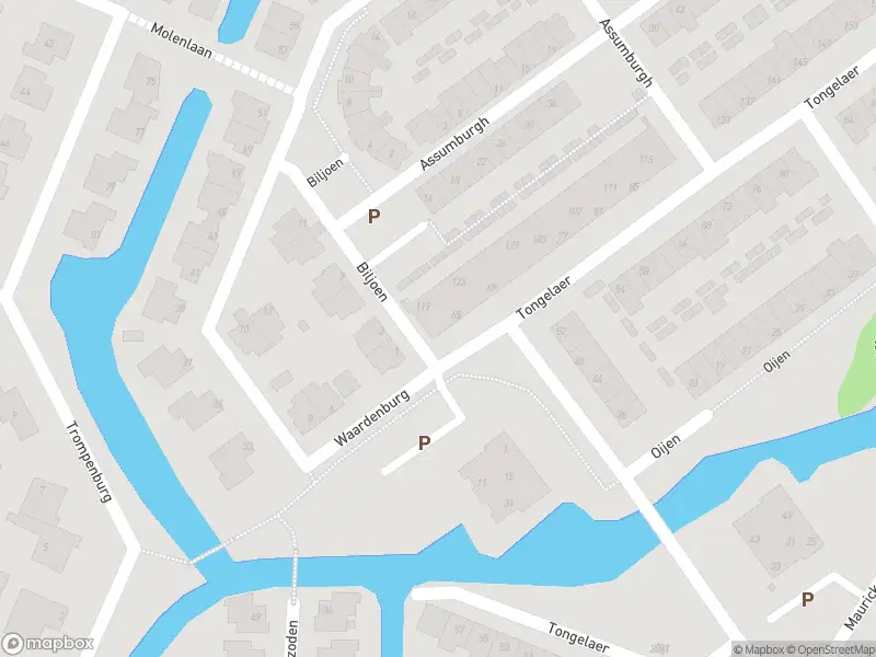 Anonieme overlastmelding Tongelaer in Hillegom gesloten