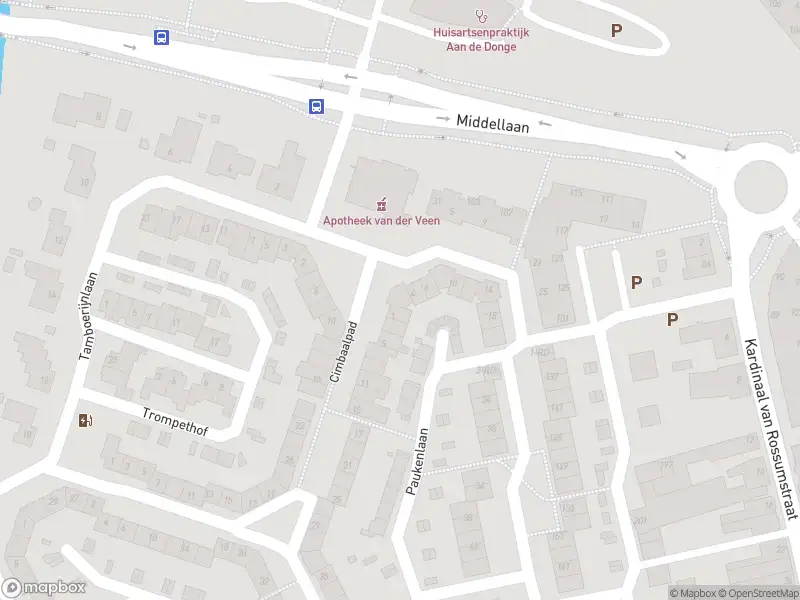 Overlastmelding Paukenlaan in Dongen