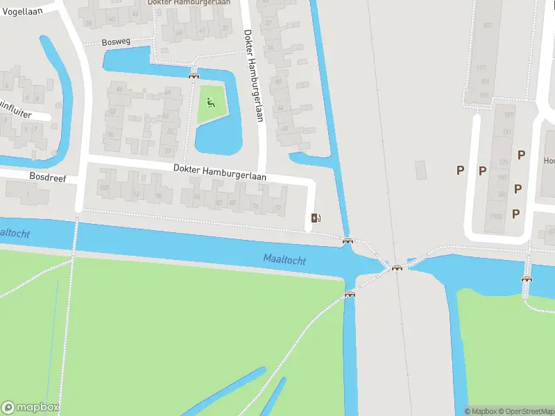 Overlastmelding Dokter Hamburgerlaan in Boskoop