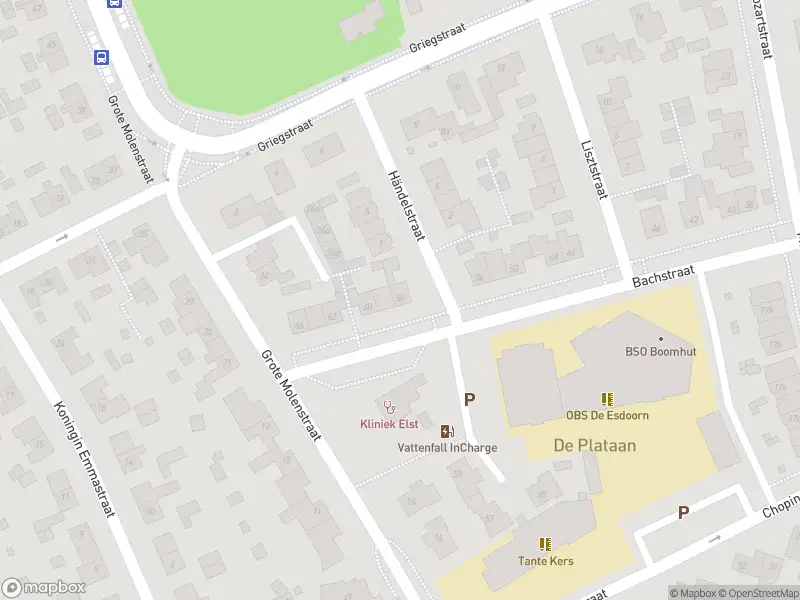 Overlastmelding Bachstraat in Elst gesloten