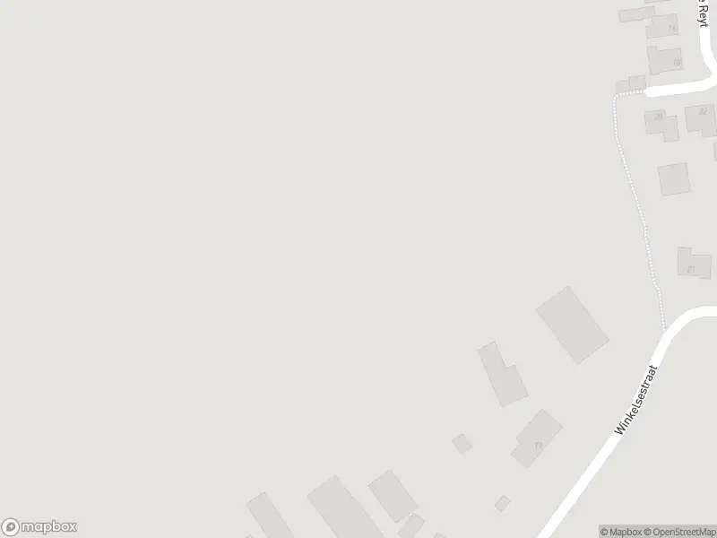 Politie met grote spoed naar de Winkelsestraat in Biezenmortel vanwege letsel