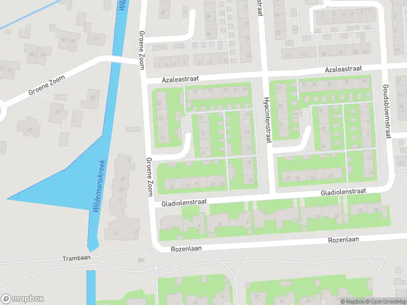 Ambulance met gepaste spoed naar de Groene Zoom in Sommelsdijk