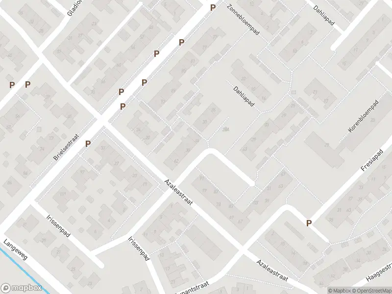 Overlastmelding Azaleastraat in Stellendam gesloten