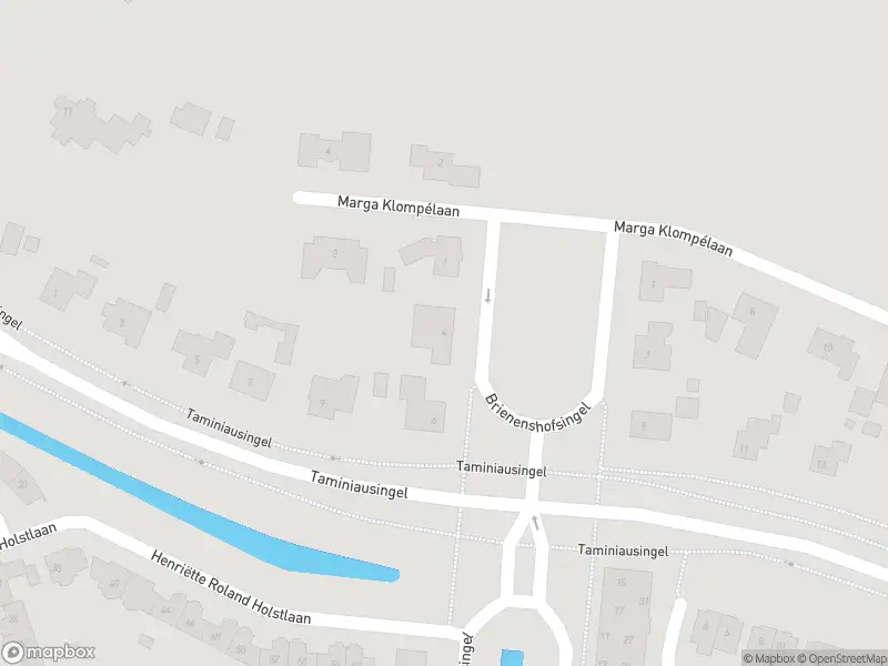 Overlastmelding Brienenshofsingel in Elst gesloten