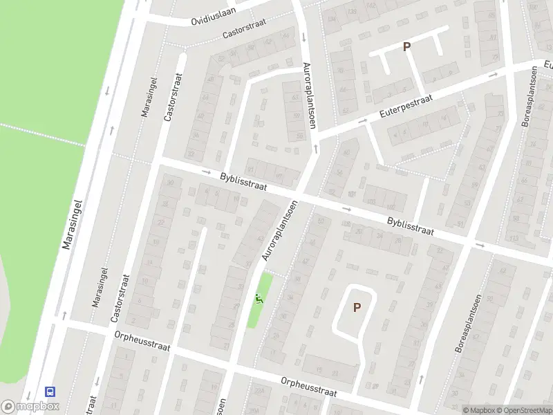 112 melding Overlastmelding Byblisstraat in Arnhem