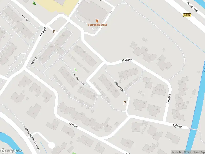 Ambulance met grote spoed naar de Leeuwerik in Maasdam