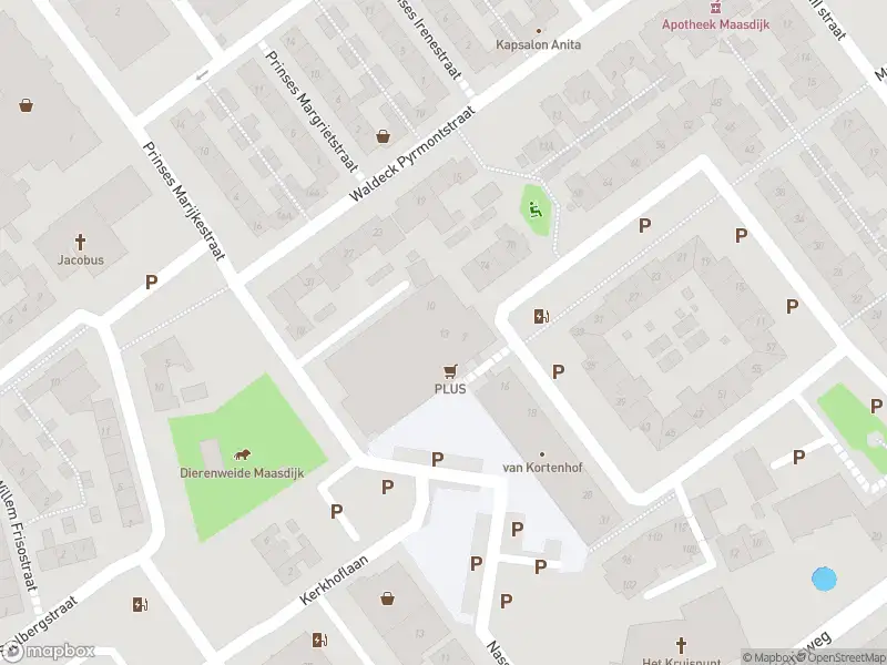 Ambulance met grote spoed naar de Oranjeplein in Maasdijk