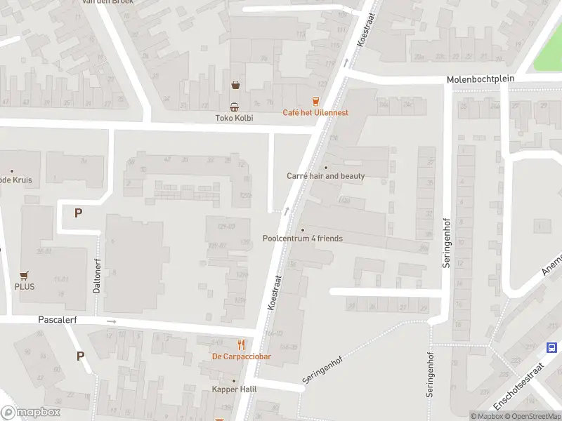 Overlastmelding Koestraat in Tilburg