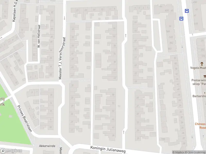 Brandweer met gepaste spoed naar de Prof. R. Regoutstraat in Best