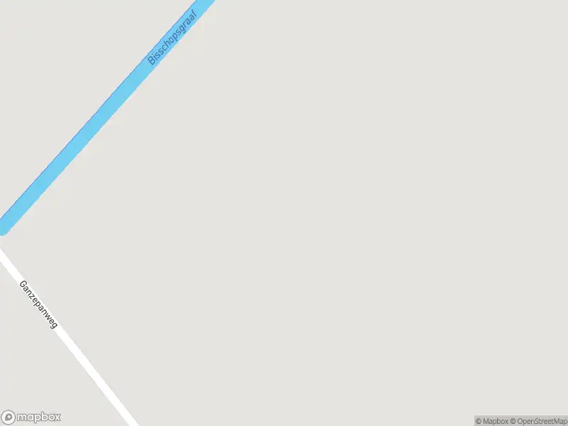 Brandweer met grote spoed naar de Rijksstraatweg in Buurmalsen