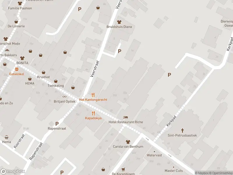 Brandweer met gepaste spoed naar de Veerstraat in Boxmeer