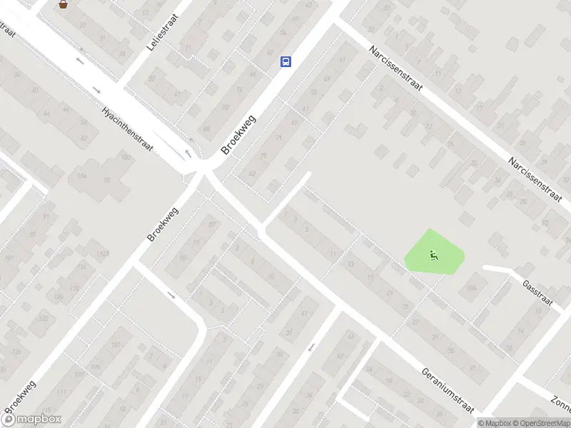 112 melding Overlastmelding Geraniumstraat in Lisse (2161 WN)