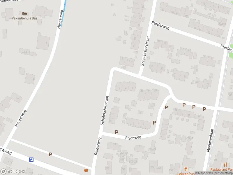 Overlastmelding Scholeksterstraat in Groet