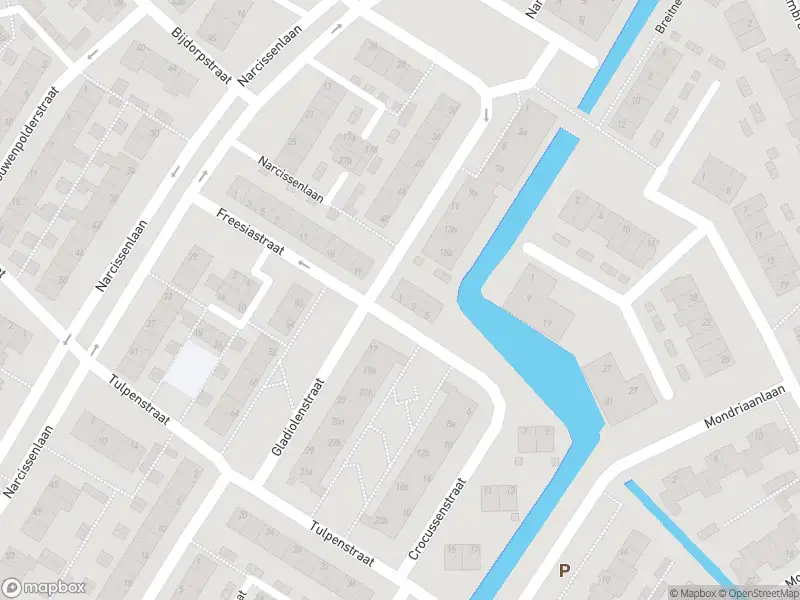 Overlastmelding Crocussenstraat in Sassenheim