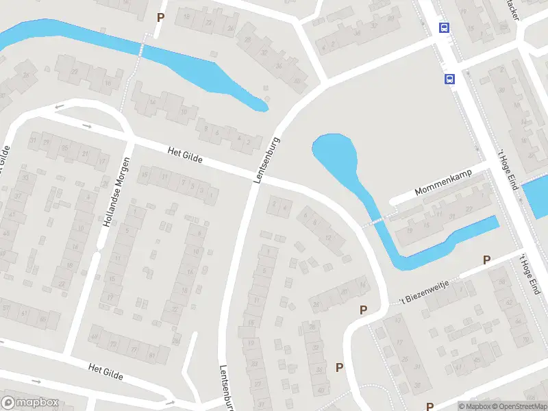 Overlastmelding Het Biezenweitje in Westervoort
