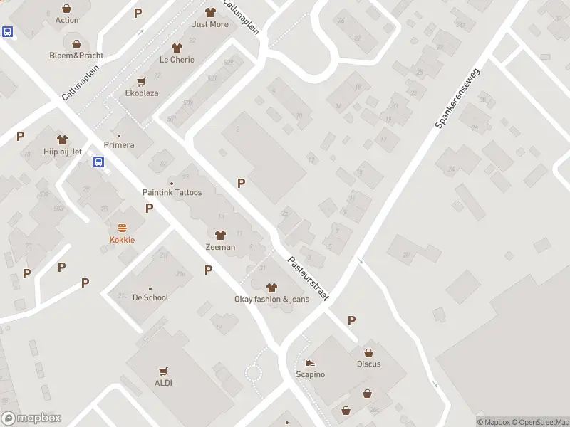 Overlastmelding Pasteurstraat in Dieren