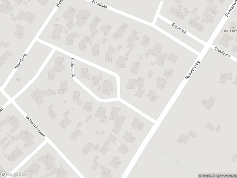 Brandweer met gepaste spoed naar de Callunahof in Harfsen vanwege waarnemen gaslucht