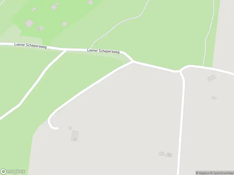 Overlastmelding Groenendaalseweg in Loenen