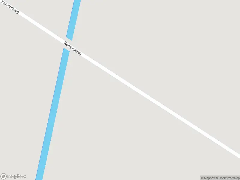 Overlastmelding Kalversteeg in Hank (Kortveldsesteeg)