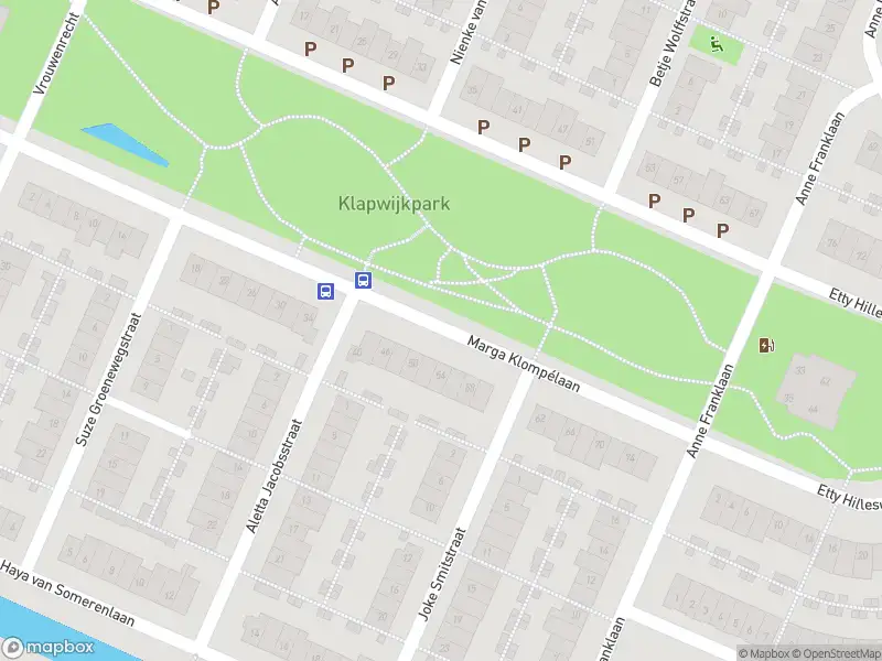 Ambulance met grote spoed naar de Mina Krusemanstraat in Pijnacker