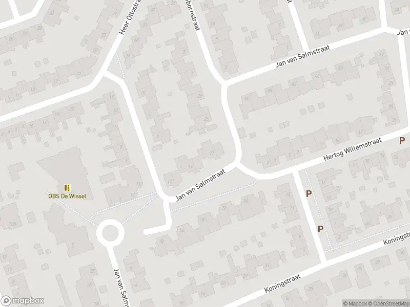 112 melding Overlastmelding Jan van Salmstraat in Born