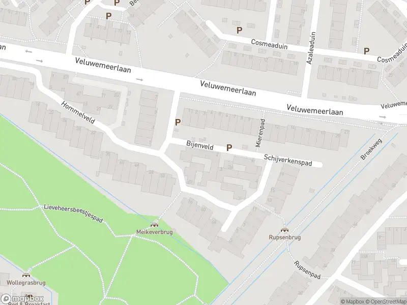 Ambulance met gepaste spoed naar de Bijenveld in Leiden