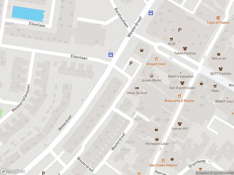 Overlastmelding Westerdreef in Lisse gesloten