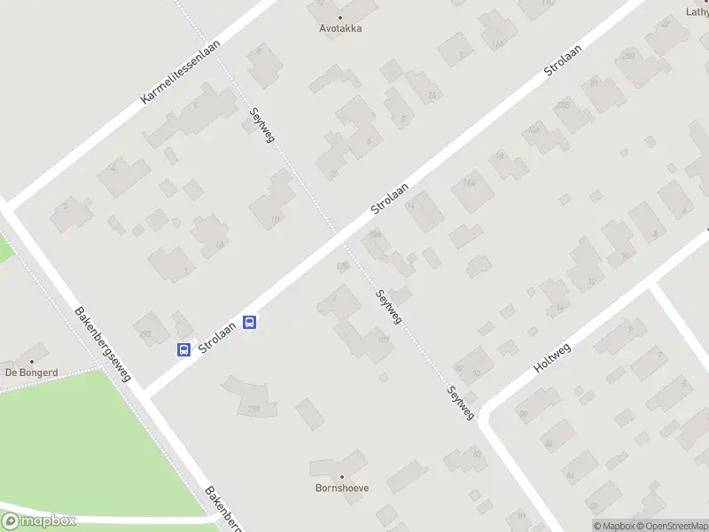 Overlastmelding Strolaan in Arnhem gesloten