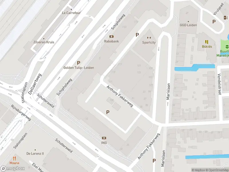 Politie naar de Stationsplein in Leiden