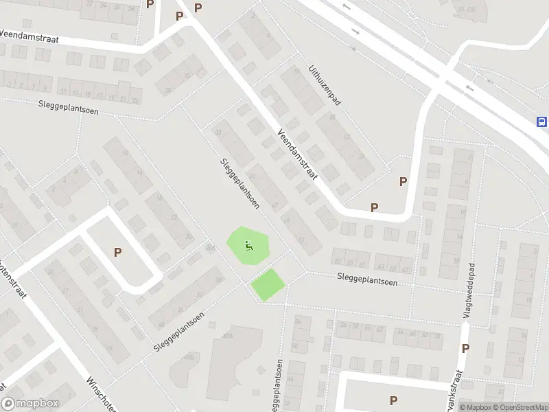 112 melding Overlastmelding Sleggeplantsoen in Arnhem