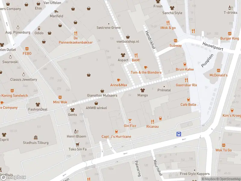 Brandweer met gepaste spoed naar de Emmapassage in Tilburg vanwege dier(en) in nood