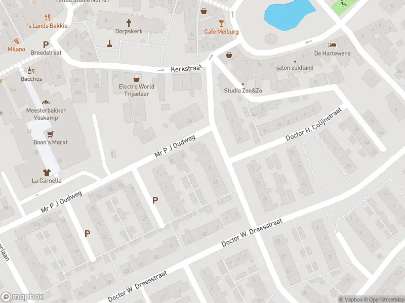 Ambulance met gepaste spoed naar de Jhr Mr A F de Savornin Lohmanstraat in Zuidland