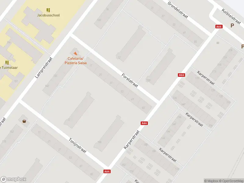 Ambulance met gepaste spoed naar de Forelstraat in Hoogvliet Rotterdam