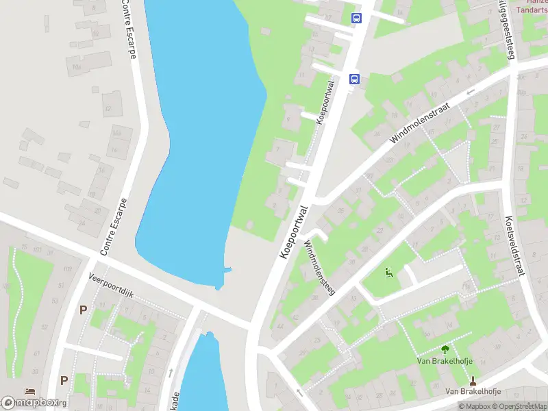 Overlastmelding Koepoortwal in Doesburg