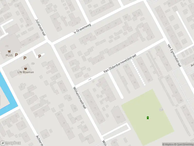 Overlastmelding Van Oldenbarneveldstraat in Nieuw-Beijerland