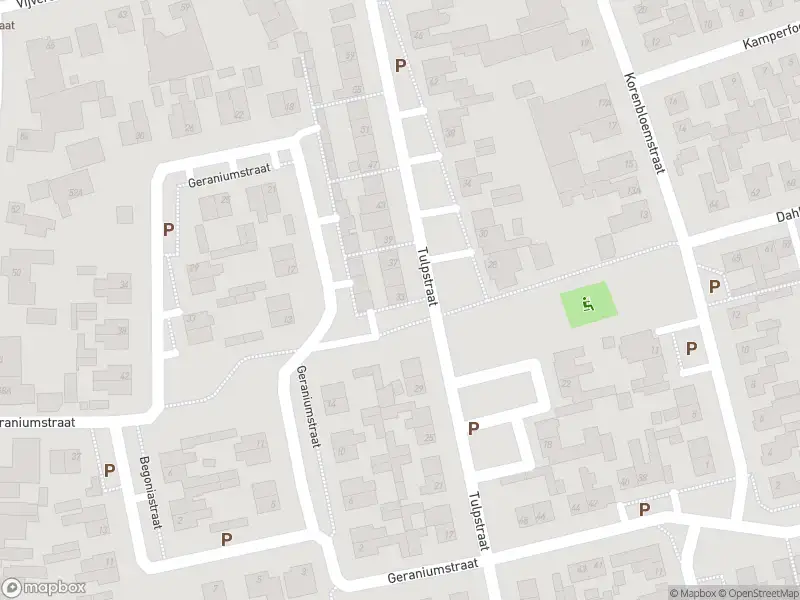 112 melding Overlastmelding Tulpstraat in Sint Willebrord