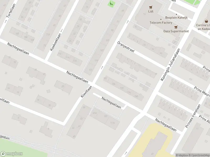 112 melding Overlastmelding Nachtegaallaan in Katwijk aan Zee