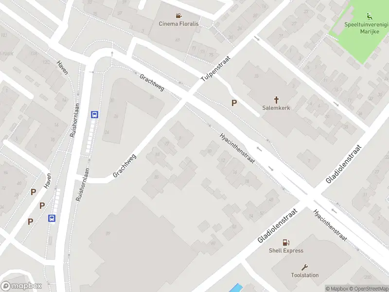 Overlastmelding Hyacinthenstraat in Lisse (Zuid-Holland) gesloten