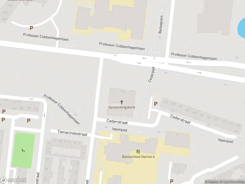 Anonieme overlastmelding Professor Cobbenhagenlaan in Tilburg