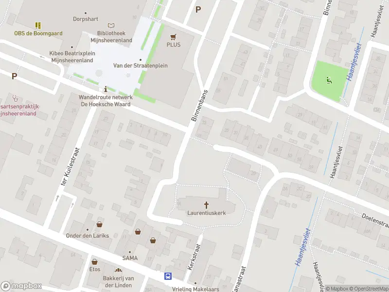 Overlastmelding Van der Waalstraat in Mijnsheerenland