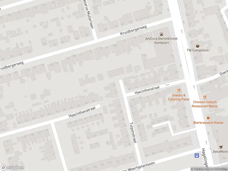 Overlastmelding Tulpenstraat in Santpoort-Noord gesloten