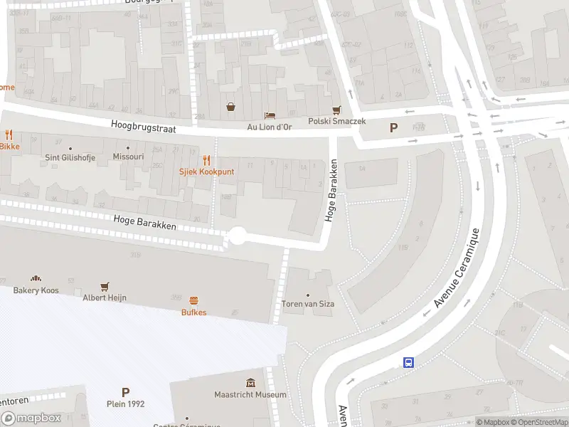 Brandweer met gepaste spoed naar de Stationsstraat in Maastricht