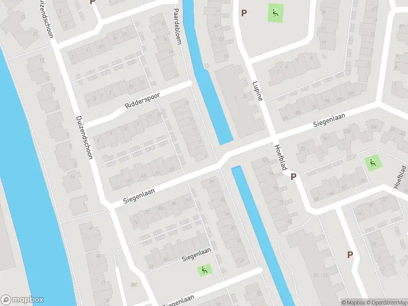 112 melding Overlastmelding Paardebloem in Rijnsburg