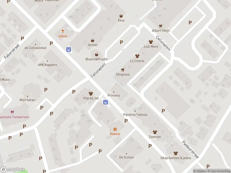 Overlastmelding Ericaplein in Dieren